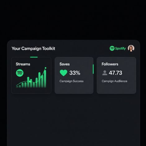 A Breakdown of Our Spotify Growth Services