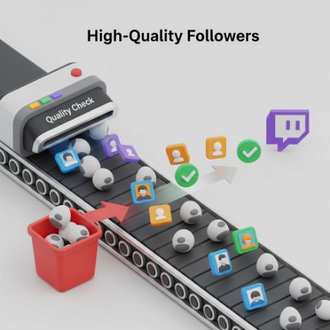 High-Quality Twitch Followers