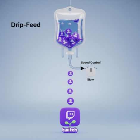 Drip-Feed delivery for Twitch SMM Panel services