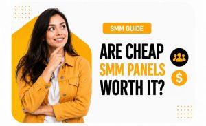 Are Cheap SMM Panels Worth It?
