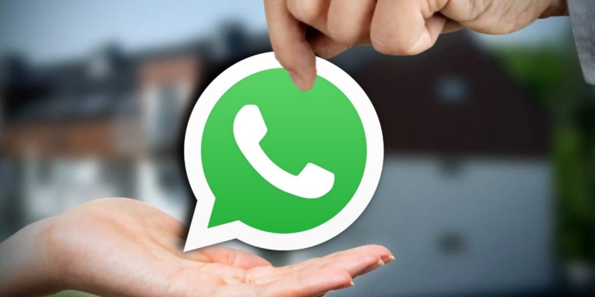 why whatsapp is green now